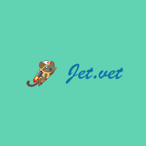 Jet Vet